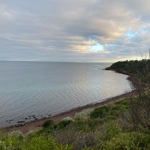 Meet your Posher, Tian